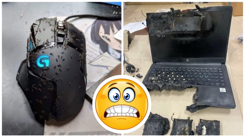 Šílené fotky od lidí z technické podpory
